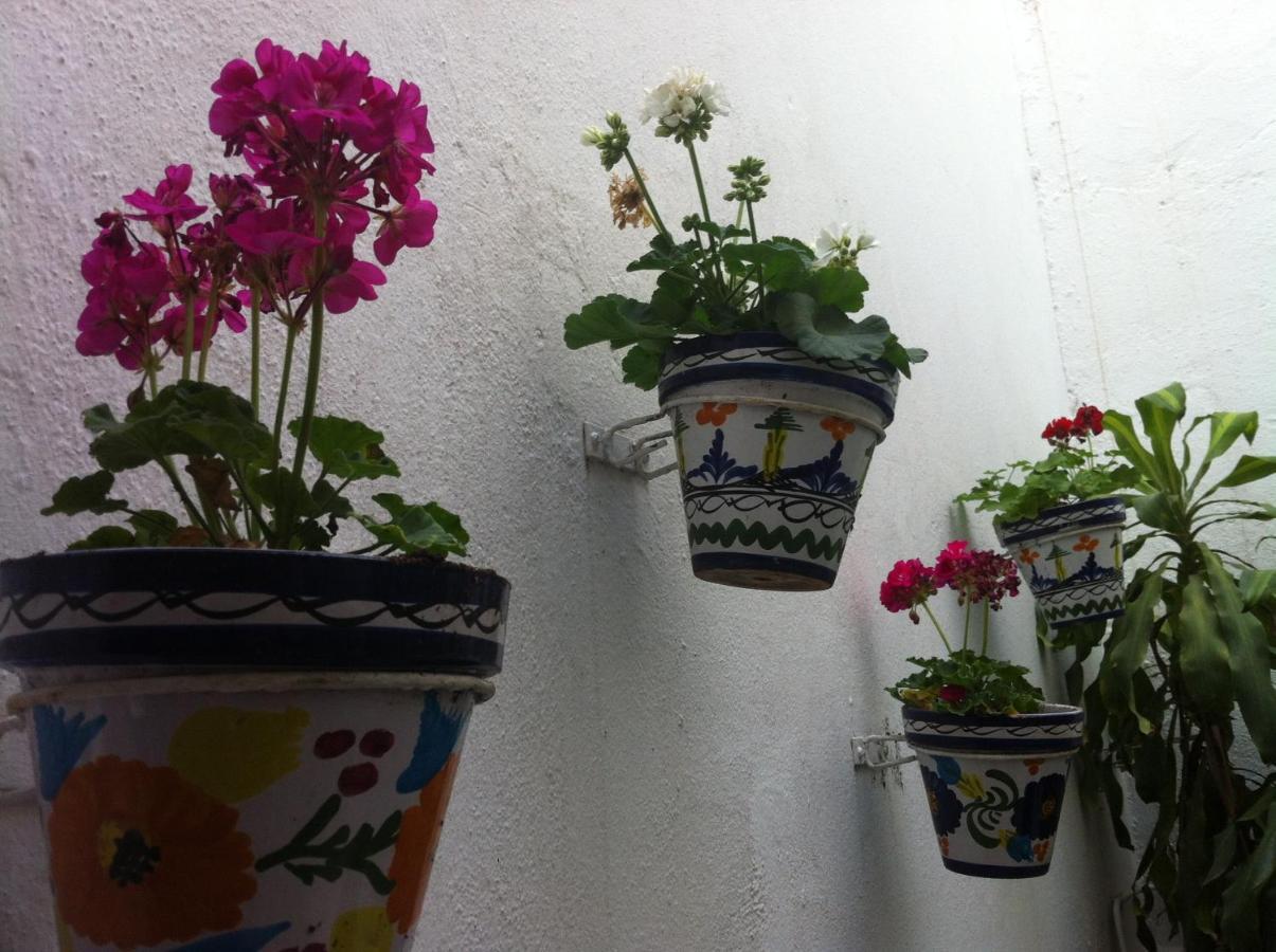 Hostal Berlin 마르베야 외부 사진